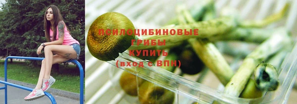 хмурый Аркадак