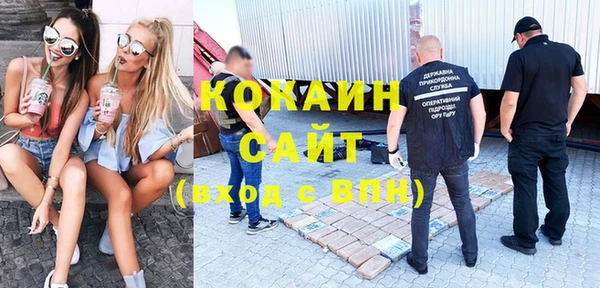 хмурый Аркадак