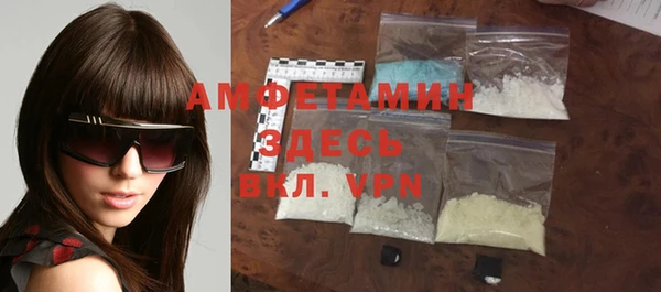 хмурый Аркадак