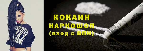 хмурый Аркадак