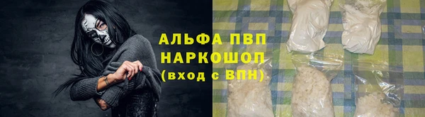хмурый Аркадак