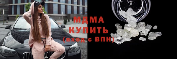 хмурый Аркадак