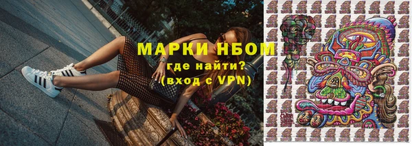 прущая мука Арсеньев