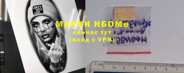 хмурый Аркадак