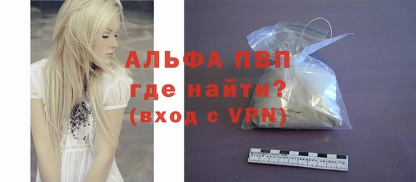 хмурый Аркадак