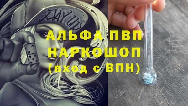 хмурый Аркадак