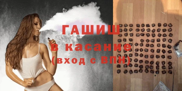 хмурый Аркадак