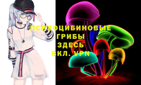 хмурый Аркадак