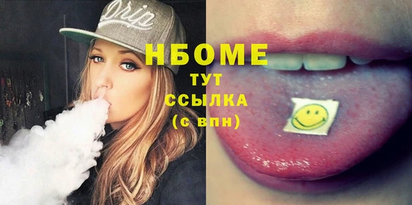 хмурый Аркадак
