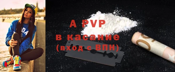 хмурый Аркадак
