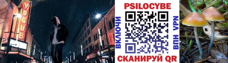 Галлюциногенные грибы Psilocybe  OMG ссылки  Межгорье 